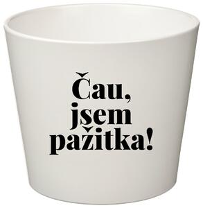 ČAU, JSEM PAŽITKA! - malý květináč