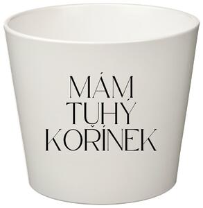 MÁM TUHÝ KOŘÍNEK - malý květináč