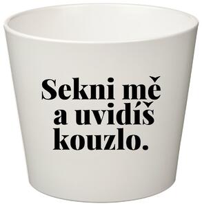 SEKNI MĚ A UVIDÍŠ KOUZLO. - malý květináč