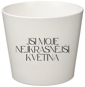 JSI MOJE NEJKRÁSNĚJŠÍ KVĚTINA - malý květináč