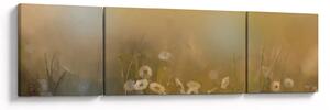 Obraz - Olejomalba sedmikrásek (170x50 cm)