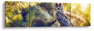 Obraz sovy na stromě (170x50 cm)