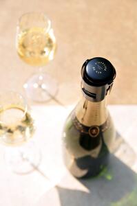 Atelier du Vin Gard'bulles Zátka na šampaňské