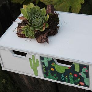Komodka KAKTUSKA