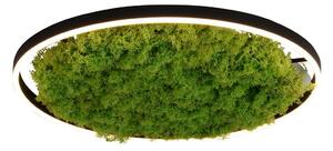 GREEN RITUS LED stropní svítidlo, 3650 lm, 28 W