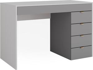 Toaletní stolek Vicco Elise Bílá/šedá/šedá 115 cm s 5 zásuvkami, Model 41312
