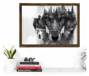 Nástěnný obraz Husky, 70 x 50 cm