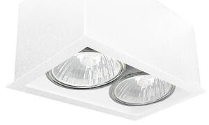 Brosline 1081 - Bodové svítidlo CAGE 2xGU10/10W/230V bílá