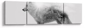 Obraz - Arktický vlk zrcadlící divokou krajinu, černobílý (170x50 cm)