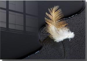 Skleněný obraz 70x50 cm Feather – Wallity