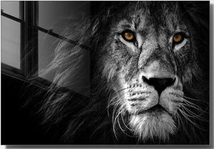 Skleněný obraz 70x50 cm Lion – Wallity