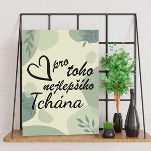 Sablio Dárková cedulka Pro toho nejlepšího tchána: 30x40 cm