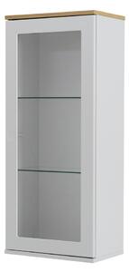 Bílá jednodveřová vitrína Tenzo Dot, výška 95 cm