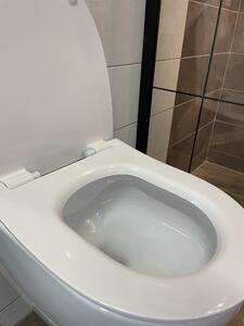 Aplomo Peonia rimless WC závěsné se sedátkem a doplňky, bílá