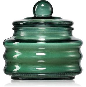 Paddywax Beam Cypress & Fir vonná svíčka 85 g