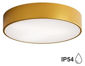 Brilagi - Koupelnové stropní svítidlo CLARE 2xE27/24W/230V pr. 40 cm IP54 zlatá