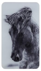 Sada 2 šedých krytů na sporák Wenko Horses, 52 x 30 cm