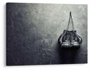 Obraz boxerských rukavic (70x50 cm)