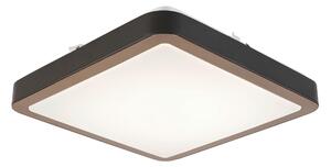 STROPNÍ LED SVÍTIDLO, 37/37/8 cm Novel - Stropní svítidla