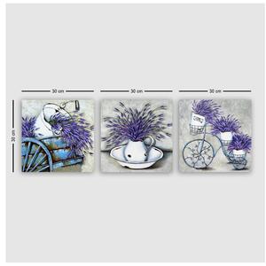 Obrazy v sadě 3 ks 30x30 cm Lavender – Wallity