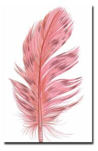 Obraz 45x70 cm Feather – Wallity