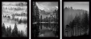 Obrazy v sadě 3 ks 35x45 cm Black & White – Wallity