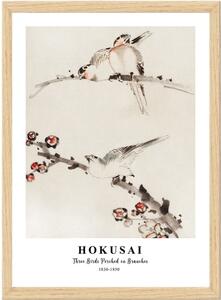 Plakát v rámu 35x45 cm Hokusai – Wallity