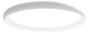 STROPNÍ LED SVÍTIDLO, 30/3,5 cm Novel - Stropní svítidla