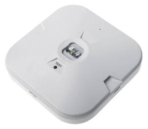 LED Nouzové svítidlo GATRION LED/1W/230V IP54 6000K