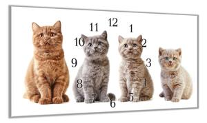 Nástěnné hodiny 30x60cm různá britská koťata - plexi