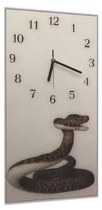 Nástěnné hodiny 30x60cm teraristika had - kalené sklo