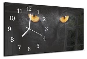 Nástěnné hodiny 30x60cm detail hlavy černé kočky - plexi