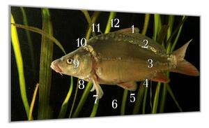 Nástěnné hodiny 30x60cm ryba kapr lysec - plexi