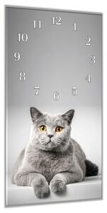 Nástěnné hodiny 30x60cm britská kočka šedá - plexi