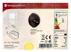 Lampenwelt - LED Venkovní nástěnné svítidlo 2xLED/3W/230V IP54