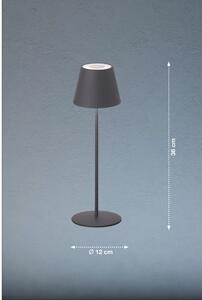 Šedá LED stmívatelná stolní lampa se senzorem pohybu a s kovovým stínidlem (výška 38 cm) Consenza – Fischer & Honsel