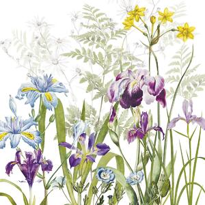 Garnier Thiebaut Iris d'Hiver Blanc Ubrousek