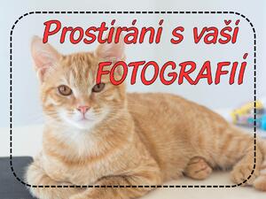 PokojovaDekorace.cz, Prostírání s vaší fotografií - 999, 43x30cm