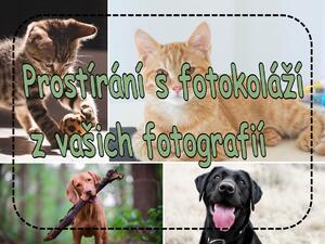 PokojovaDekorace.cz, Prostírání s fotokoláží z vašich fotografií, 43x30cm