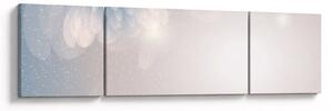 Obraz - Zasněžené květy (170x50 cm)