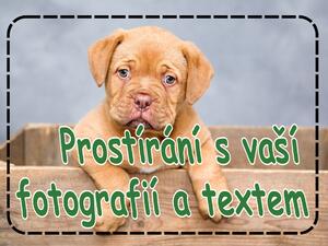 PokojovaDekorace.cz, Prostírání s vaší fotografií a textem, 43x30cm