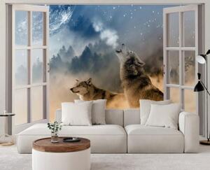 Fototapeta, Pohled z okna Vlk Zvíře Příroda Abstrakt - 280x200 cm