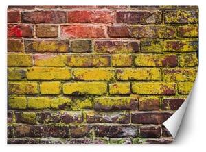 Fototapeta, Stará barevná cihlová zeď - 400x280 cm