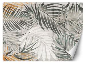 Fototapeta, Tropické palmové listy - 300x210 cm