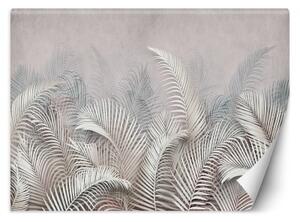 Fototapeta, Palmové listy na betonu šedé 3D - 368x254 cm