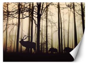 Fototapeta, Zvířata v pralese - 300x210 cm