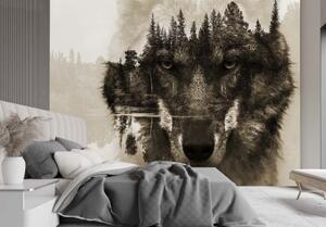 Fototapeta, Vlk lesní zvíře v mlze - 100x70 cm