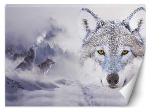 Fototapeta, Vlk v mlze Přírodní zvířata - 100x70 cm
