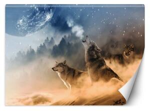 Fototapeta, vlci zvířata les příroda - 100x70 cm