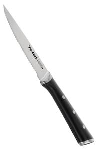 Sada nožů na steak z nerezové oceli 4 ks Ice Force – Tefal